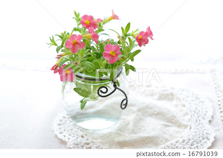 玻璃瓶與電線裝飾和Caribla核心 玻璃瓶與電線裝飾和Caribla核心 16791039