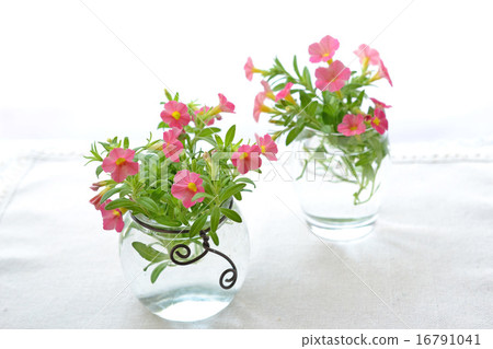 Red Cariblachore and glass vase Red Cariblachore and glass vase 16791041