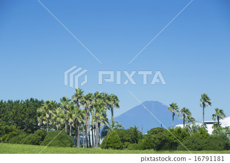 富士夏天和湘南 富士夏天和湘南 16791181
