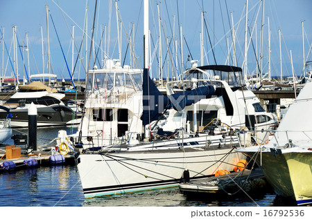 Yotto Harbor  16792536