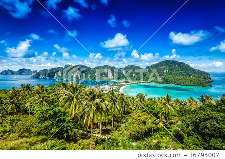 Green tropical island  16793007