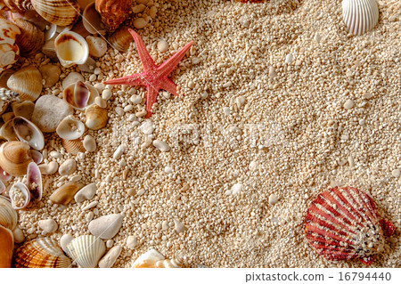 Star fish and Sea shells on the sand. 16794440