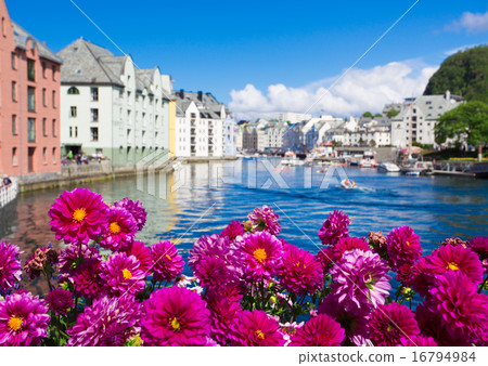 flowers of Alesund 16794984