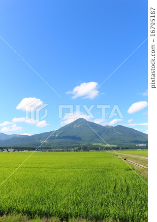 Bandai Mountain 2015 Summer Bandai Mountain 2015 Summer 16795187