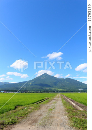 萬代山2015年夏天 16795189