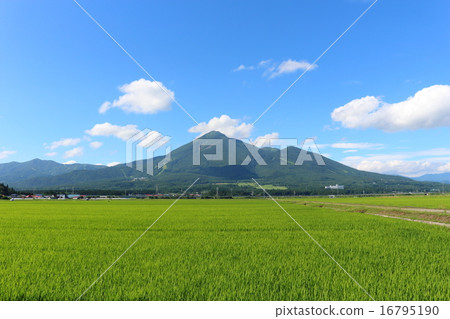 萬代山2015年夏天 16795190