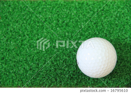 高爾夫球 16795610