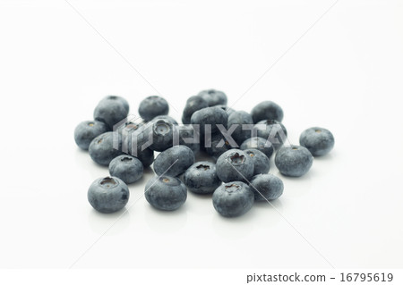 blueberry 16795619