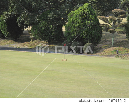 高爾夫球 16795642