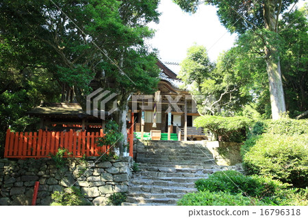 From Lake Biwa 16796318