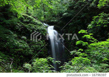 Mitsutsu waterfall in the rampant valley 16796397