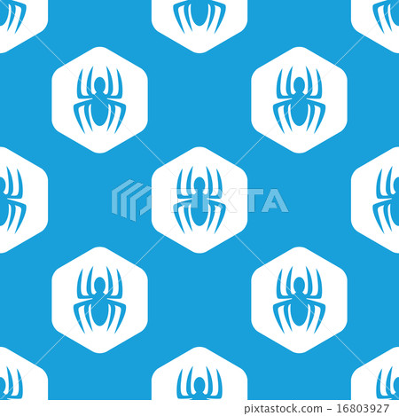 Spider hexagon pattern Spider hexagon pattern 16803927