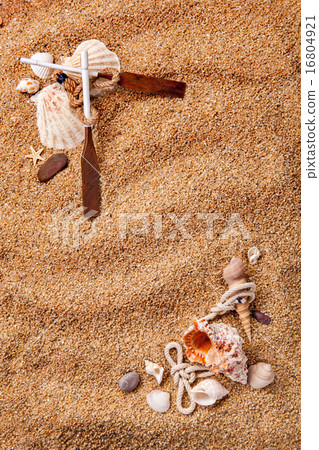 frame from various shells on sand frame from various shells on sand 16804921
