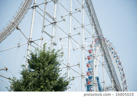 roller coaster  16805028