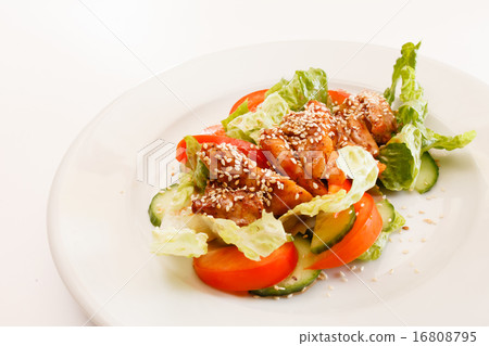 meat with vegetables meat with vegetables 16808795