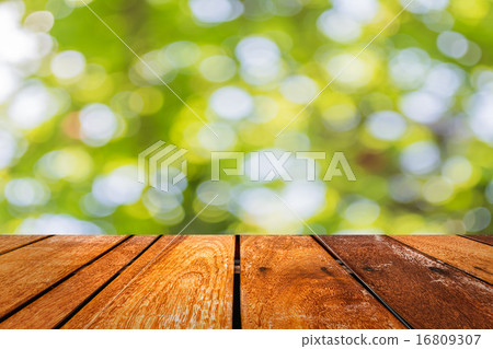Abstract Bokeh of tree color background 16809307