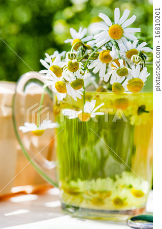 chamomile tea chamomile tea 16810201