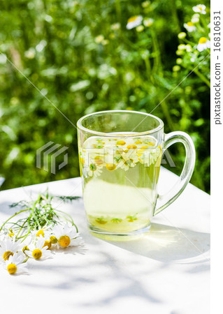 camomile tea camomile tea 16810631