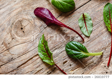 fresh salad leaves 16810777