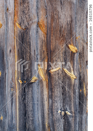 wood background 16810796