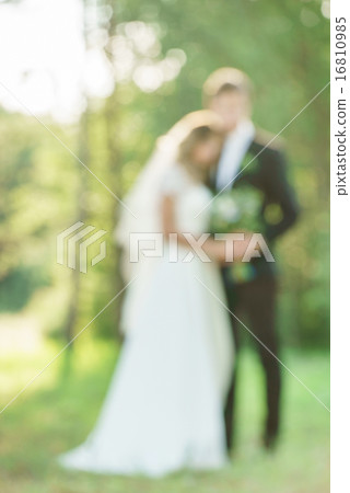 wedding day wedding day 16810985