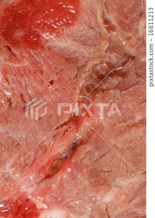 meat carpaccio 16811213