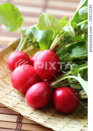Radish 16811285