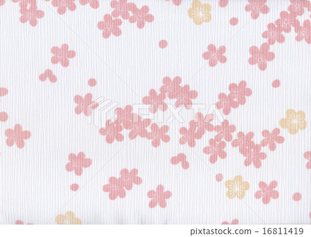 Plum plum 16811419