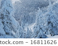 Snow mountain 16811626