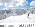 Ski resort  16811627