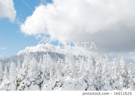 雪山和雲 雪山和雲 16811628