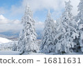 winter mountain 16811631