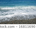 coast 16811690