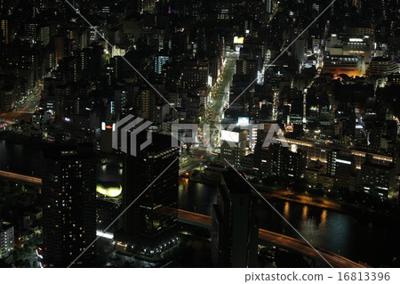 東京的夜景 東京的夜景 16813396
