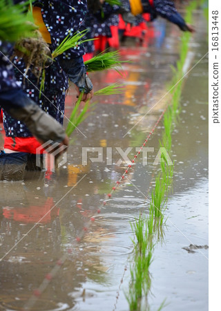 Mita festival 16813448
