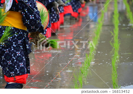 Mita festival 16813452