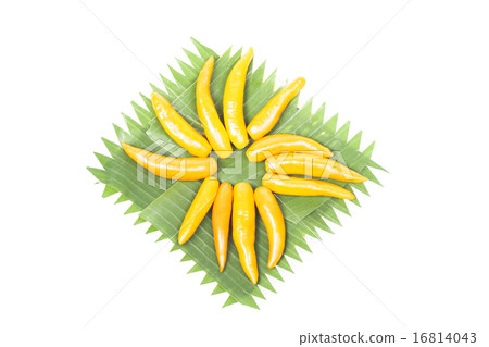 Capsicum on plate Capsicum on plate 16814043