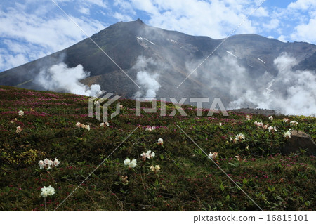 Asahidake剩下的雪 16815101