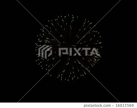 煙花菊花 16815569