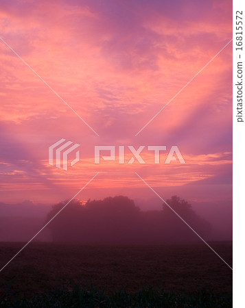 落日的天空 16815572