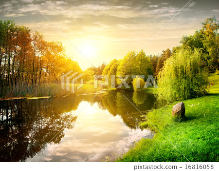 Sunset in the park Sunset in the park 16816058