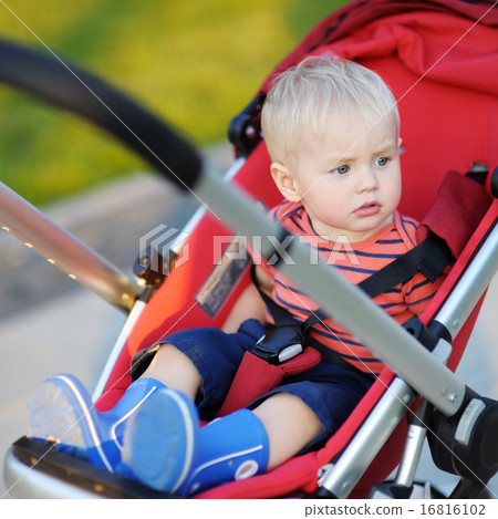 Toddler boy in stroller 16816102