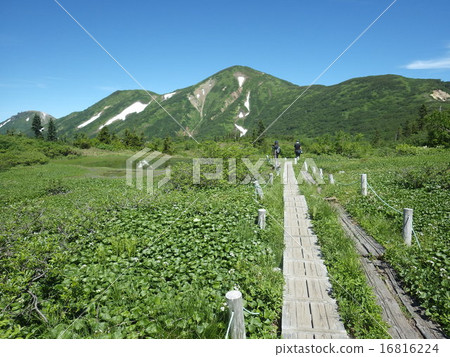 Flaming Mountain 16816224