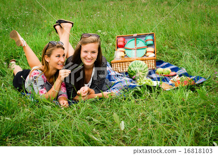 Best friends having a picnic 16818103