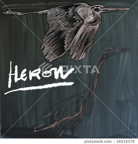 Herons- An hand drawn illustration,post processing 16818376