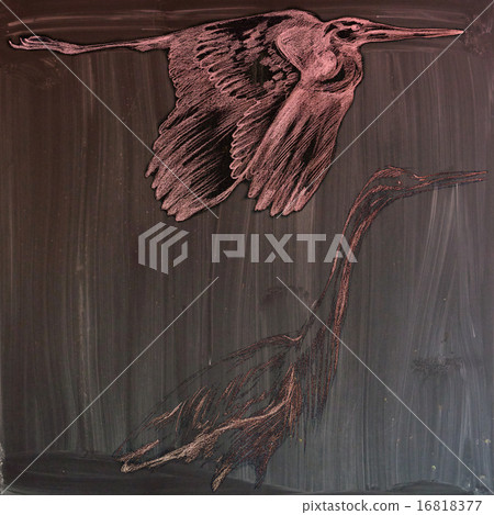 Herons - Hand drawn illustration (post processing) 16818377