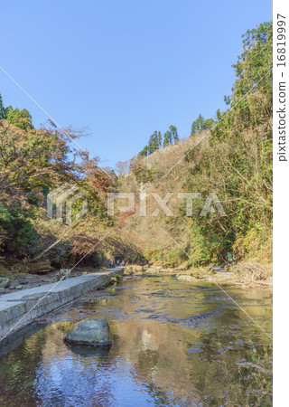 Landscape in the Yoro valley in autumn 16819997