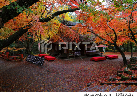 Autumn leaves of Nara Park the thatched roof 16820122