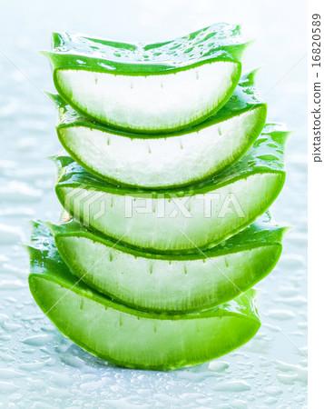 Fresh aloe leaf with water drop . 16820589