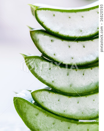Fresh stacked aloe leaf with water drop. 16820593